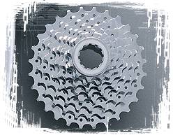Freewheel